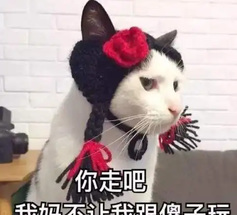  猫不用吃猫粮,农村猫吃剩饭活得也挺好你该了解下这些危害