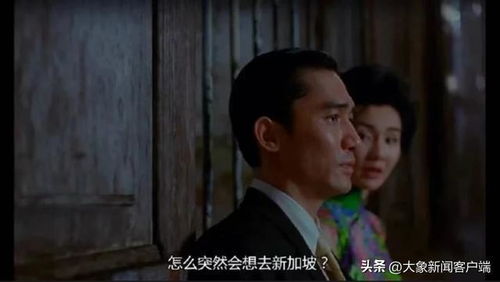  五一假期这种表情包火了网友让最强嘴替替我打卡