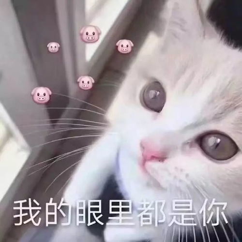  约客013让我们来一次火星撞地球吧
