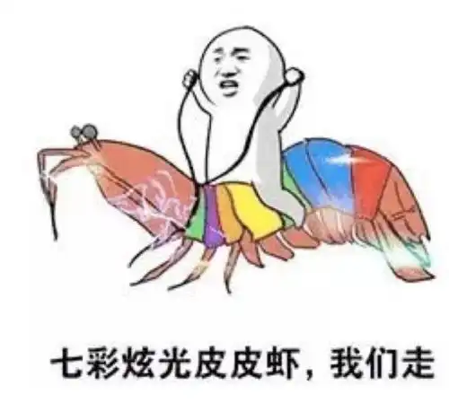  2017最火表情包出炉笑着笑着就扎心了赶快右键来收图