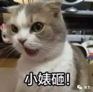  肥唐说12年前的一场谋杀案,只因为一句话竟被破