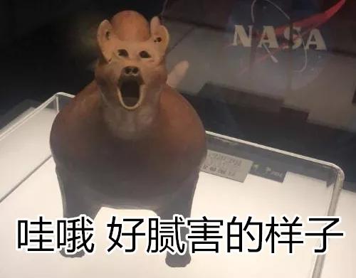活捉表情包博物馆