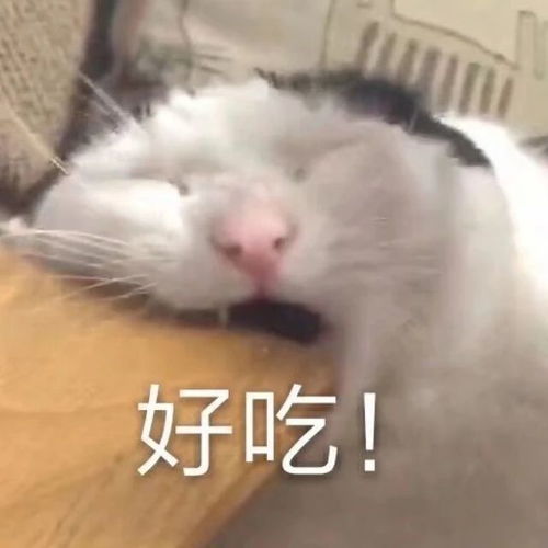  搞笑表情包拿图片哈哈哈哈,笑得停不下来了