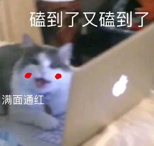  34岁鹿晗近照曝光,发福馒化认不出,网友被惊掉下巴