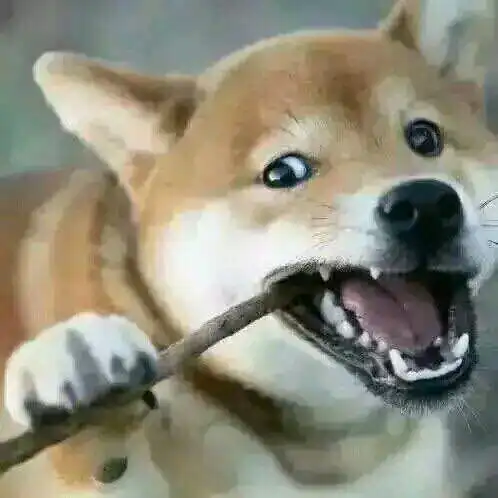 日本天皇靠什么收入