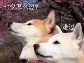  七夕怎么过难过表情包大全