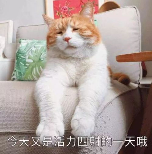  国庆长假刚结束,身边的人竟然都变成这样