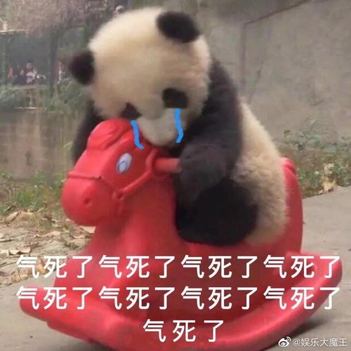 抄袭珍妮那个孰可司有看象组吗请进