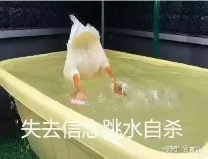  你有哪些有趣的表情包