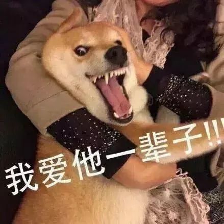  聊一下明星参与下的公益广告