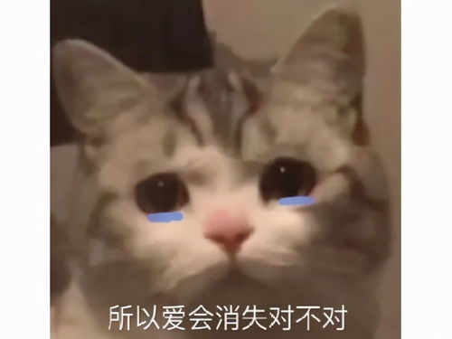  氪了十万的原神账号不香了pdd为新欢天刀手游,怒砸110万