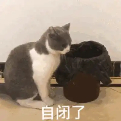  心情花园想自闭时如何与情绪相处