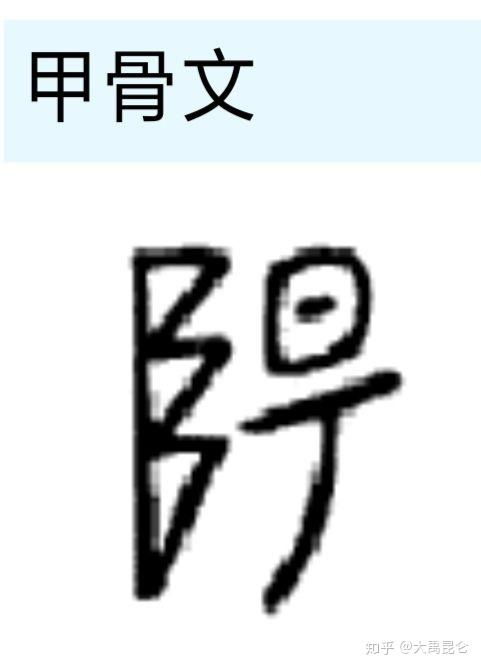  甲骨文阳字解析