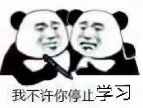 表情包你好考研