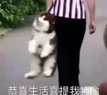  你的钱包饿了吗