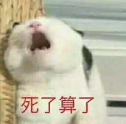 我回来了表情包可爱等我