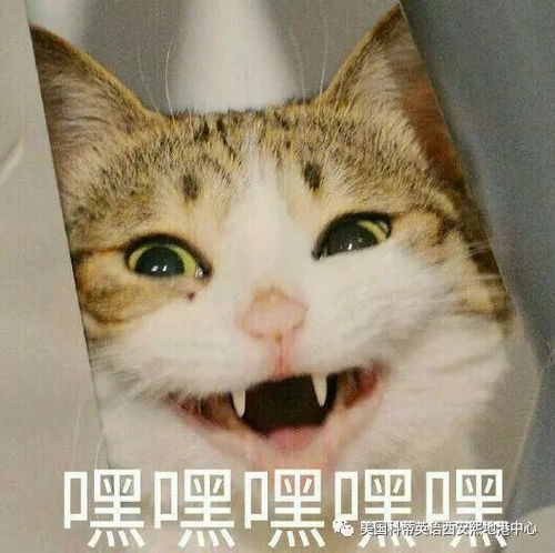  今天是个好日子