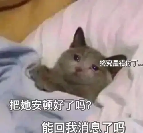  可爱到爆炸的文案