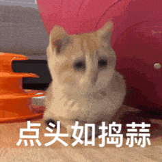  我家猫放的屁臭到爆炸,我的屁却又轻又寡淡,感觉很没面子咋办