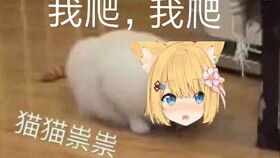  bilibili2019年度报告bgmbilibili入站曲remix