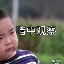  跳舞的小胖墩原来是乡村爱情里的扛把子民国表情包霸主地位有点不保了