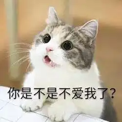 算我求你的表情包猫表情