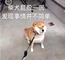  良心巨作公主罗曼史,戏内戏外都是大型cosplay,颜值满分