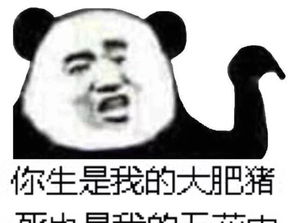 女孩你真的没有谈过女朋友,男孩一个都没谈过