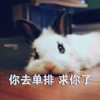 表情包我菜你也得带我玩  表情包我菜你也得带我玩