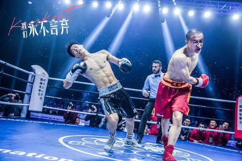 中年韩庚为演新片,被暴揍1000拳