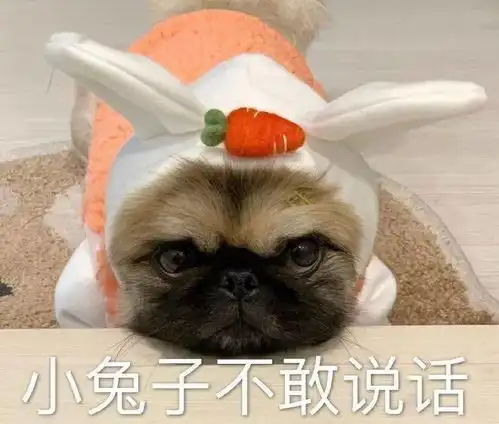 汪星人表情包第29期老实本分的我为什么没有人爱 汪星人表情包第29期老实本分的我为什么没有人爱