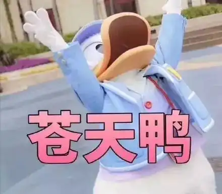 不好意思鸭表情包阵雨