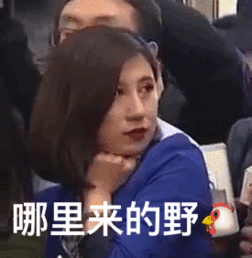  两会女记者梁相宜表情包鄙视到了极点