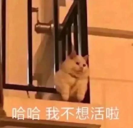 我要失去你了表情包失去