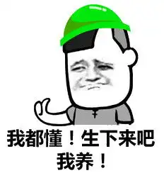  孩子生下来吧我养图片我都懂生下来吧我养表情包下载乐游网游戏下载