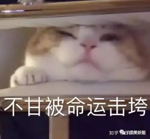 在线表情包沙雕大小周