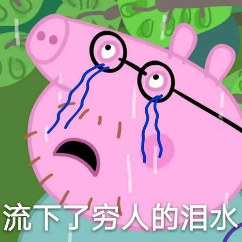  pr怎么导出预设到底是pr好用还是finalcut好用