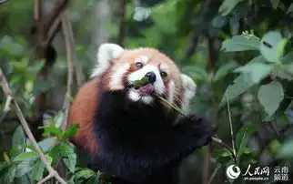 再靠近一点点的表情包小