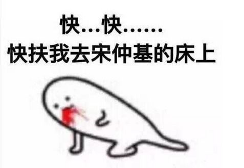  宋仲基撩妹表情包