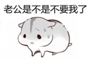  有没有一下老公我错了的表情包