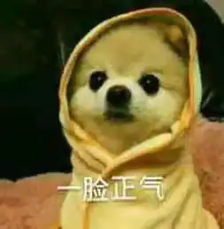 注意啦临沂城区新增54处电子警察3月27日启用 注意啦临沂城区新增54处电子警察3月27日启用