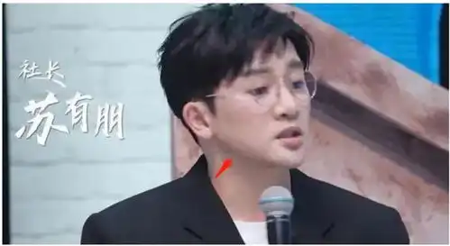 嘲笑的表情包苏有朋