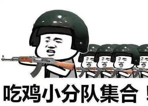死或生格斗表情包文案