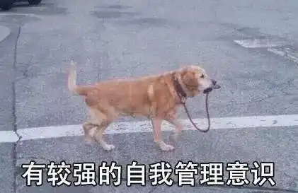 我猜每个人都会有那么几个狗狗的表情包 我猜每个人都会有那么几个狗狗的表情包