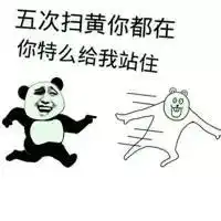  搞笑表情包又是你小子,五次扫黄你都在场