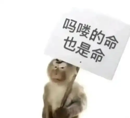  看一次笑一次合肥这个显眼包建议你去现场瞅瞅
