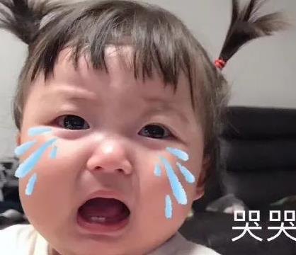  表情包丨我一肚皮拱死你