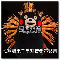  佛系女孩表情包佛系女孩聊天表情图片去广告版软件下载