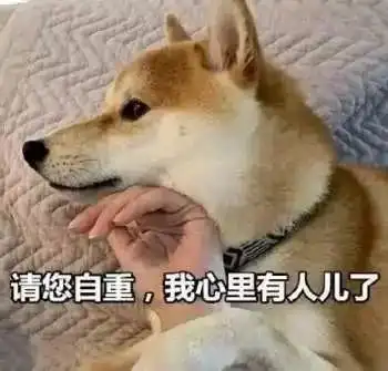  每日一乐做人千万不要太自作多情,哈哈哈哈这波太扎心了