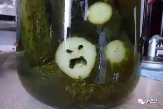 看见这些成了精的蔬菜,小编已控制不住笑疯啦  看见这些成了精的蔬菜,小编已控制不住笑疯啦